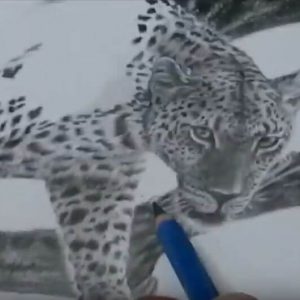 leopard wip